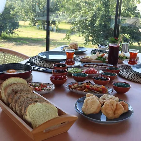 Hotel Mandalin Glamping
