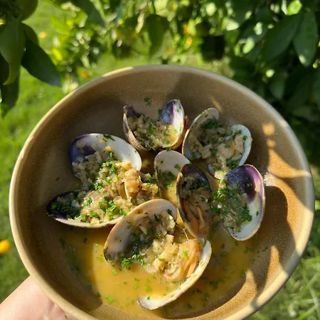 Mandalin Glamping 호텔