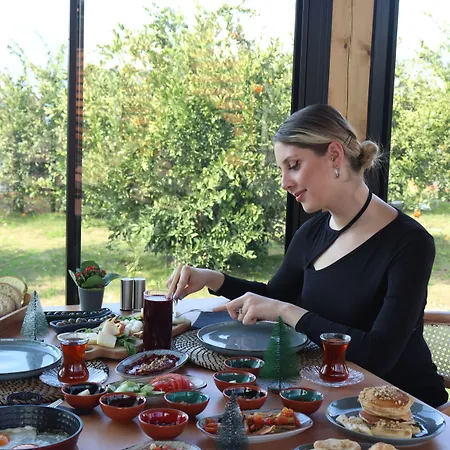 Mandalin Glamping 호텔