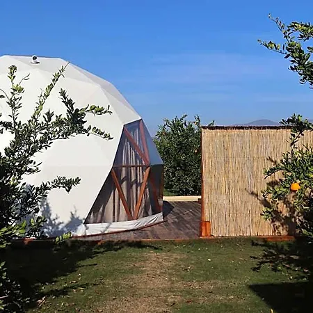 Hotel Mandalin Glamping *