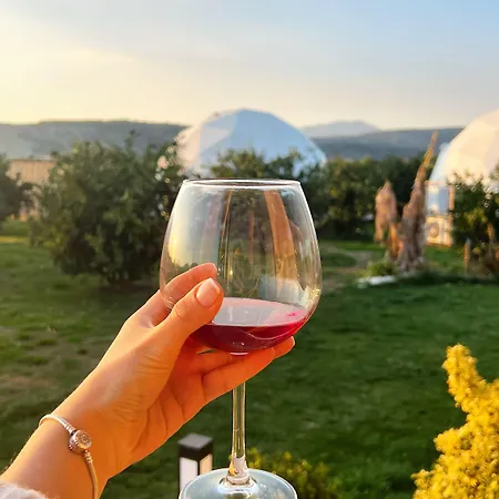 Hotel Mandalin Glamping