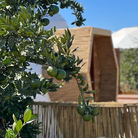 Mandalin Glamping Ξενοδοχείο