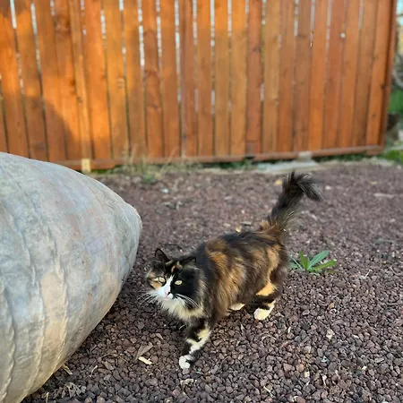 Ξενοδοχείο Mandalin Glamping